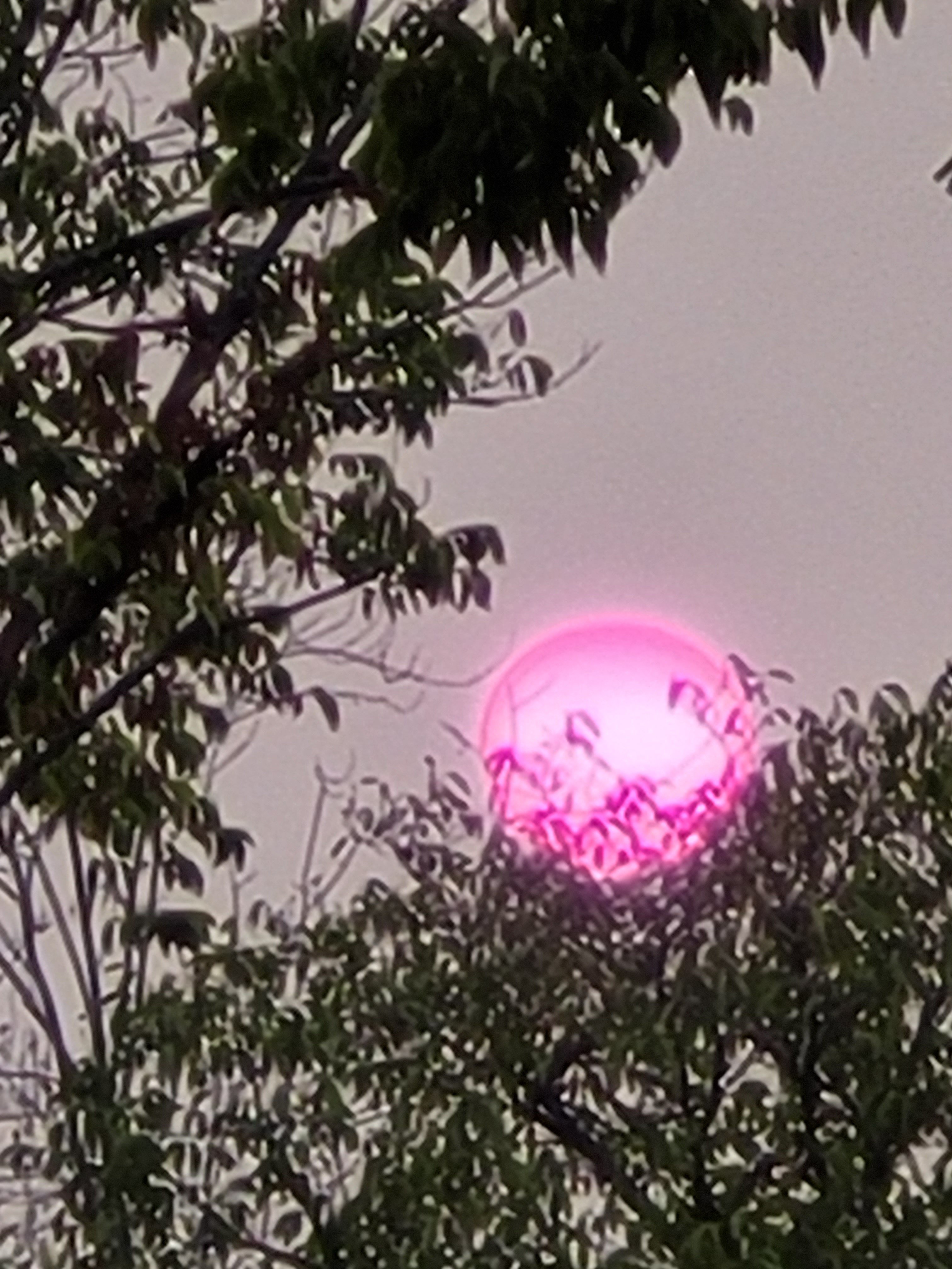 20210813 1957106541618467678948122